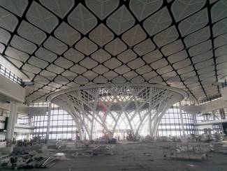 展馆菱形叶子天花